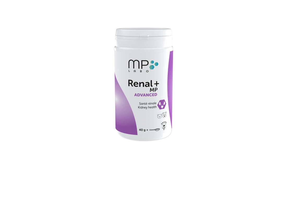 Renal+MP® Advanced chien, chat
