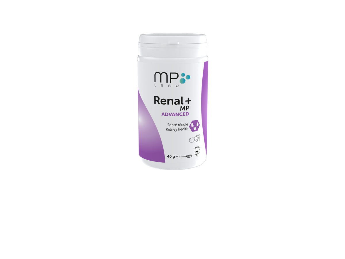 Renal+MP® Advanced chien, chat