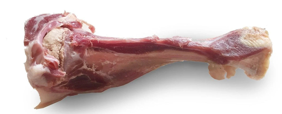 Os jambon de parme chien