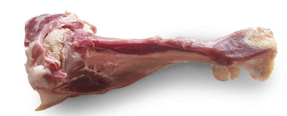 Os jambon de parme chien