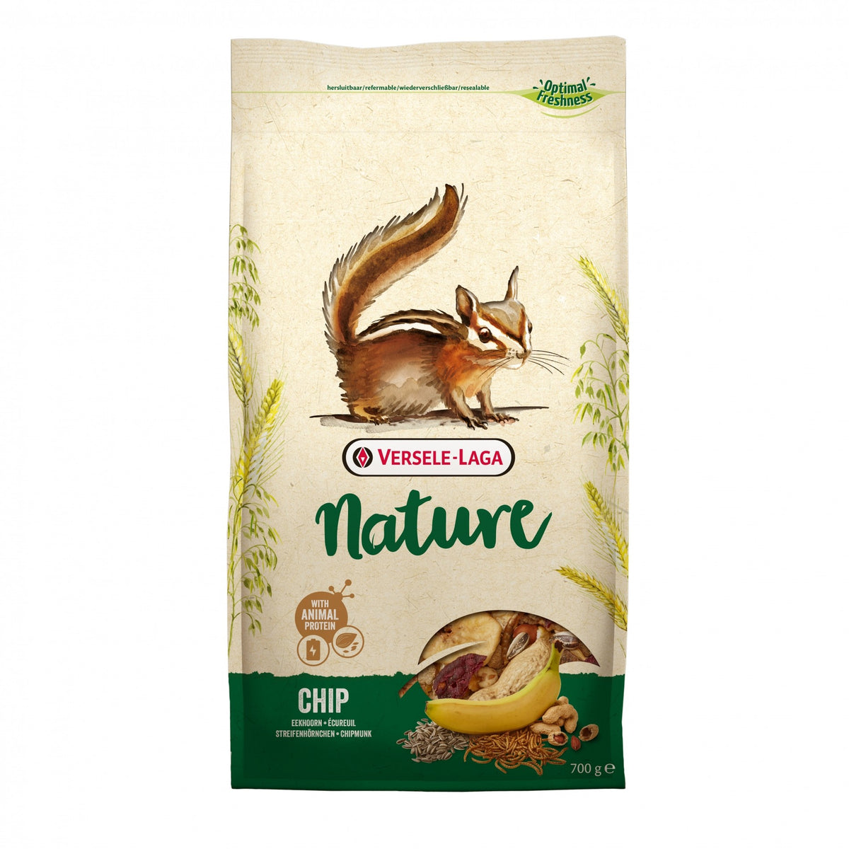 Chip Nature alimentation écureuil
