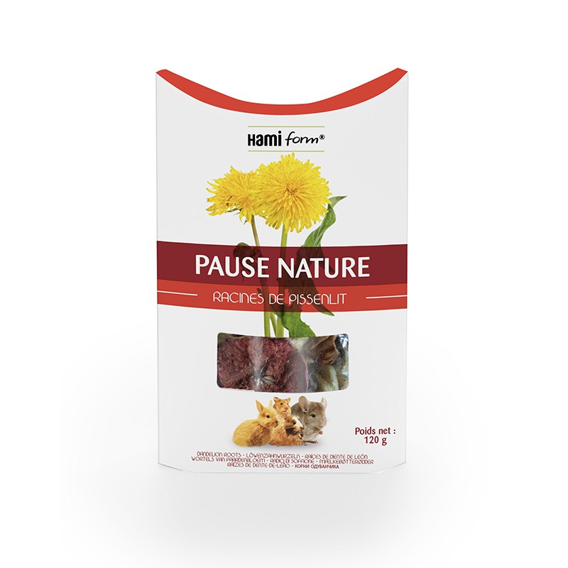 Pause Nature rongeur