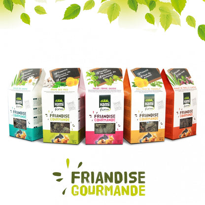 Friandises Gourmande rongeur, lapin
