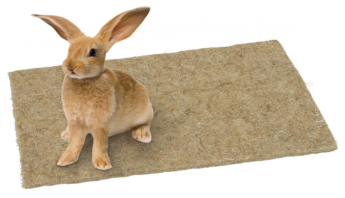 Tapis de chanvre rongeur, lapin