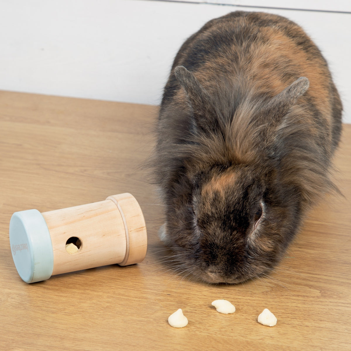 Jouet distributeur Yumzy rongeur