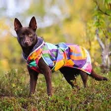 Pomppa Perus Kymppi manteau imperméable chien