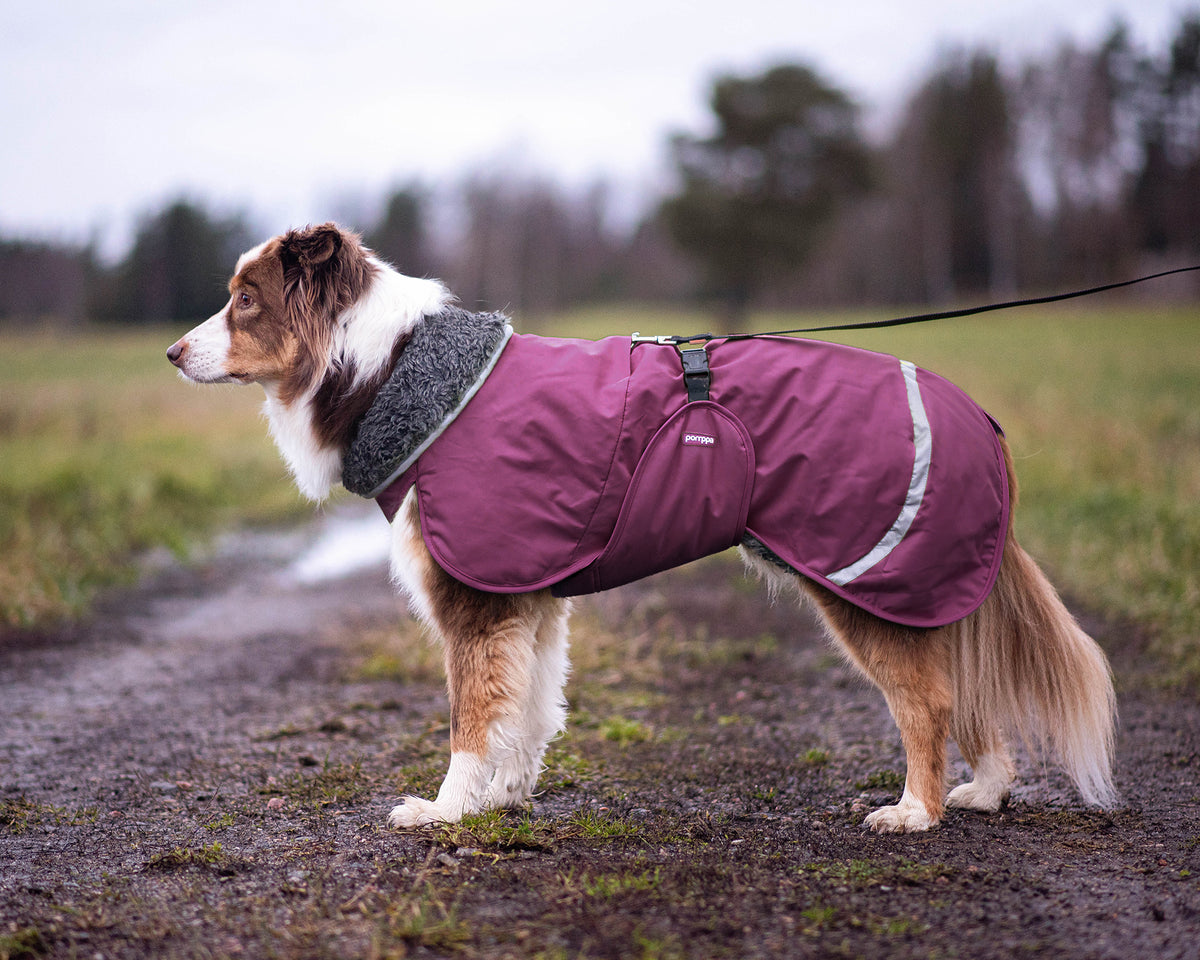 Pomppa Perus manteau imperméable pour chien Plum