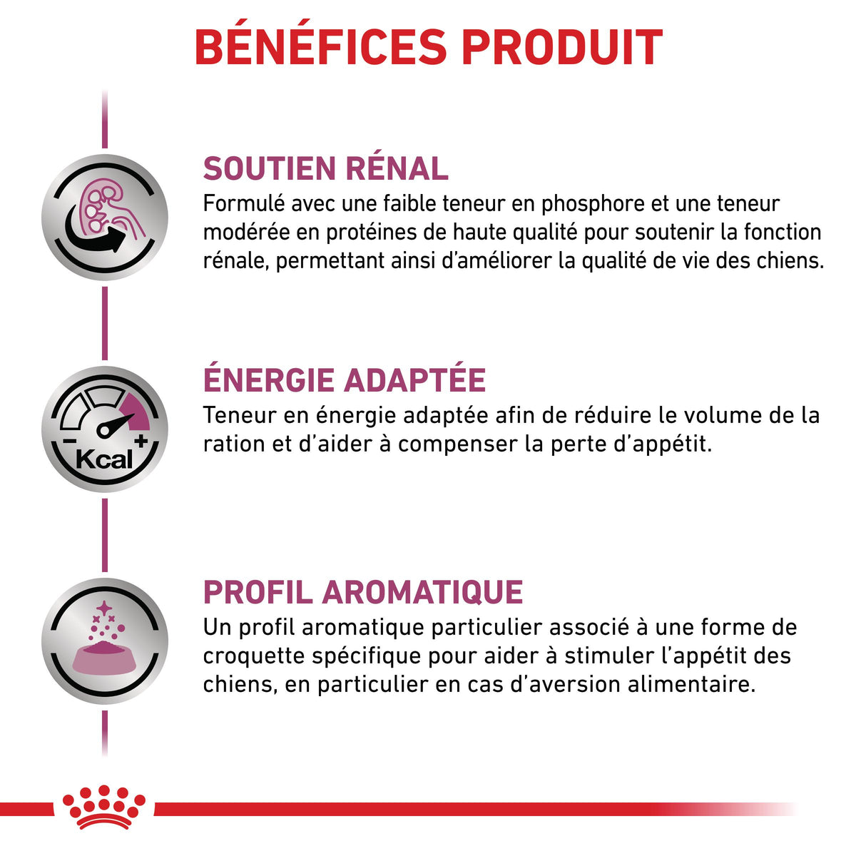 Royal Canin Veterinary Renal - aliment pour chien