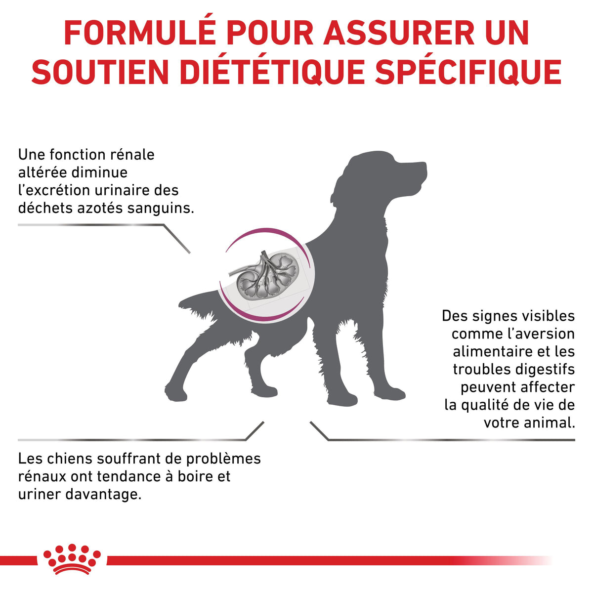 Royal Canin Veterinary Renal Select - croquettes chien