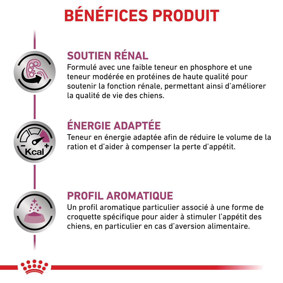 Royal Canin Veterinary Renal Select - croquettes chien
