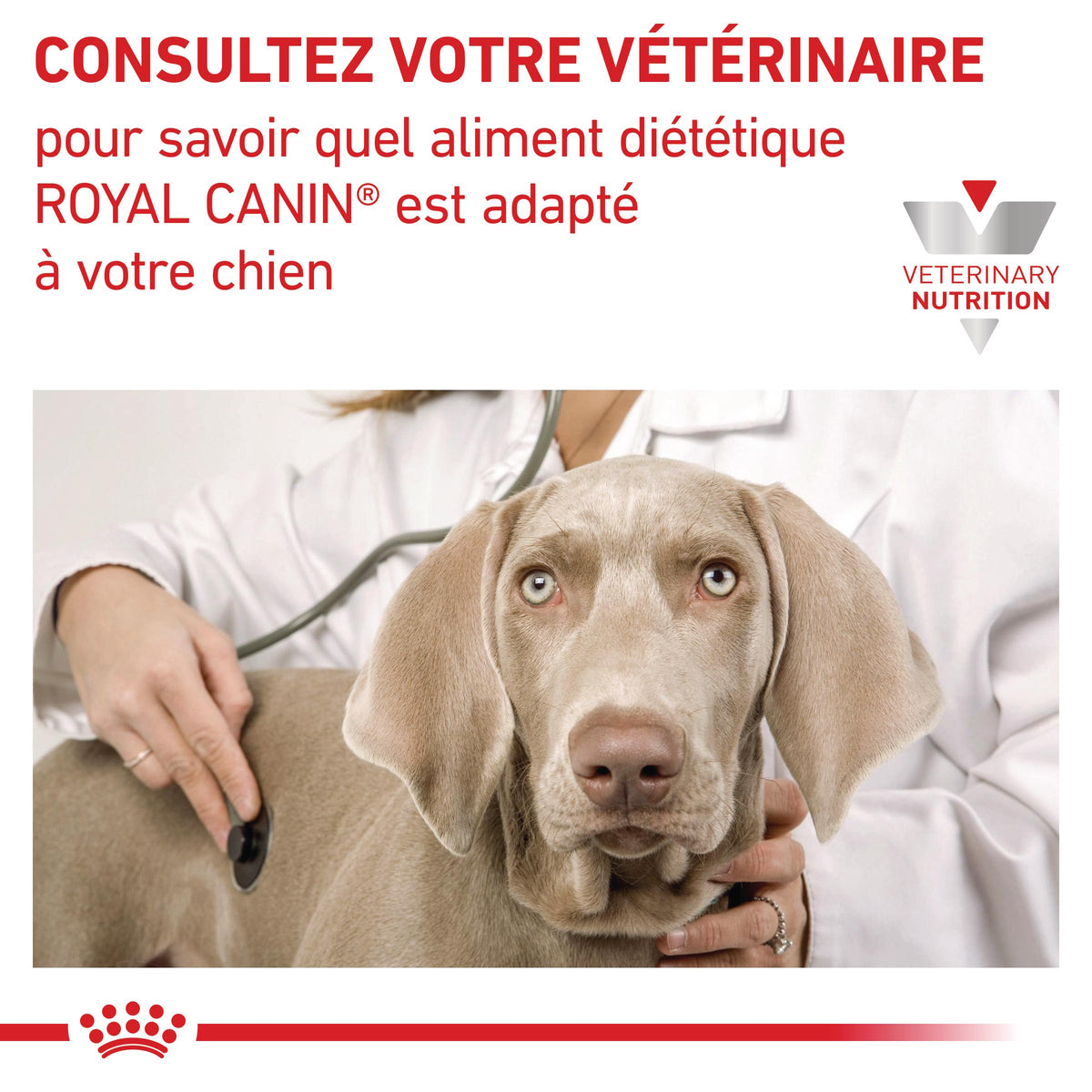 Royal Canin Veterinary Renal Select - croquettes chien