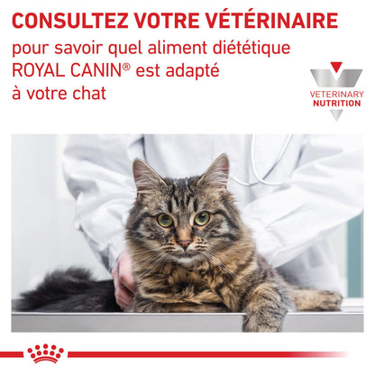 Royal Canin Veterinary Renal Select - croquettes chat