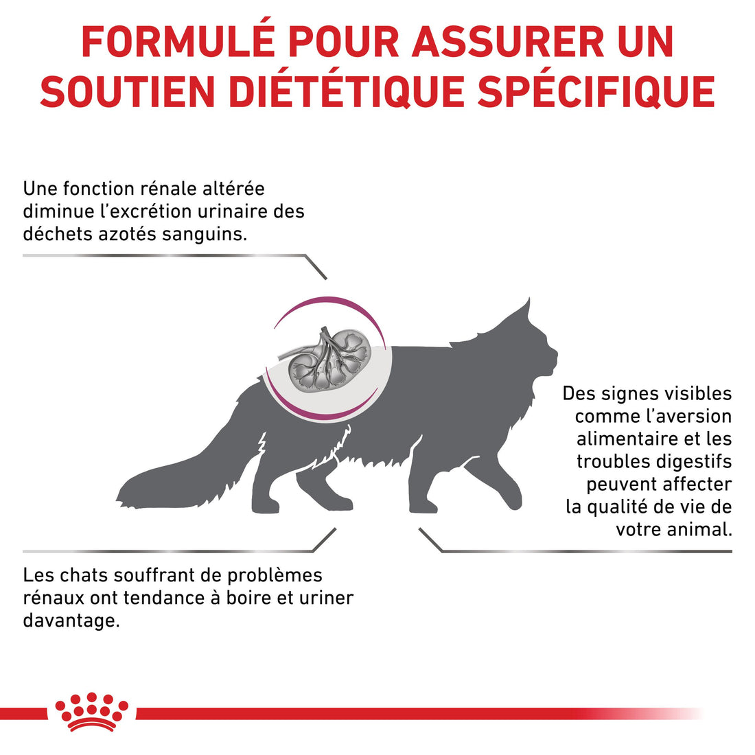 Royal Canin Veterinary Renal Special - croquettes chat