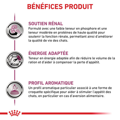 Royal Canin Veterinary Renal Special - croquettes chat