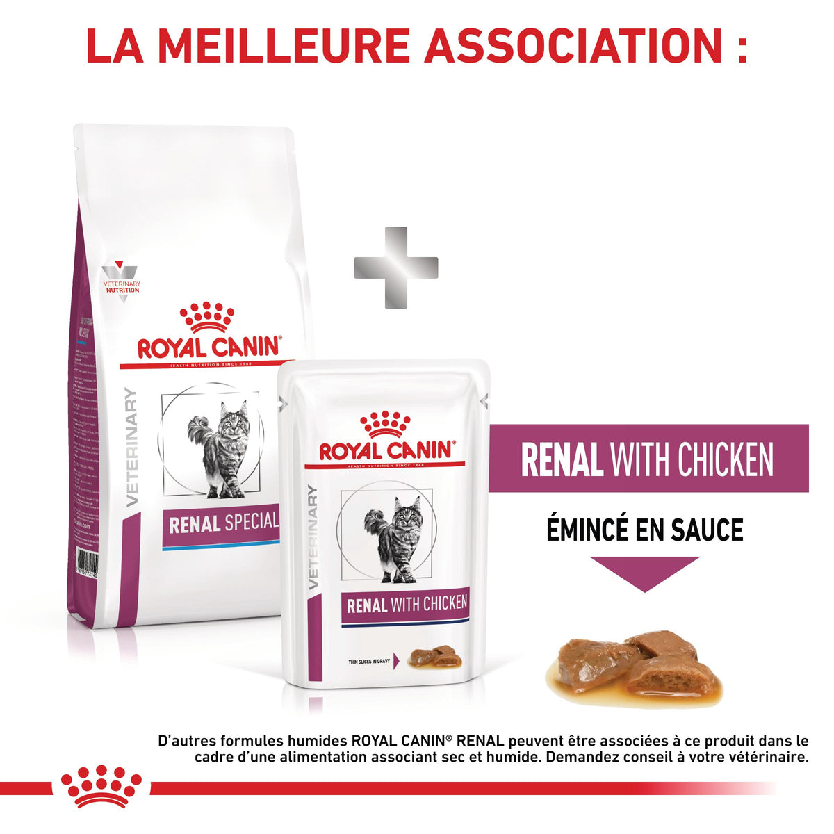 Royal Canin Veterinary Renal Special - croquettes chat