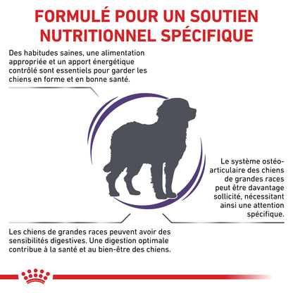 Royal Canin Veterinary Adult Large Dog - croquettes chien