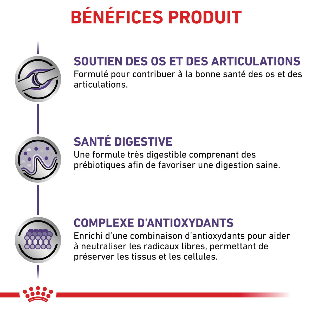 Royal Canin Veterinary Adult Large Dog - croquettes chien
