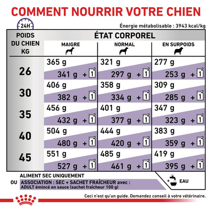 Royal Canin Veterinary Adult Large Dog - croquettes chien