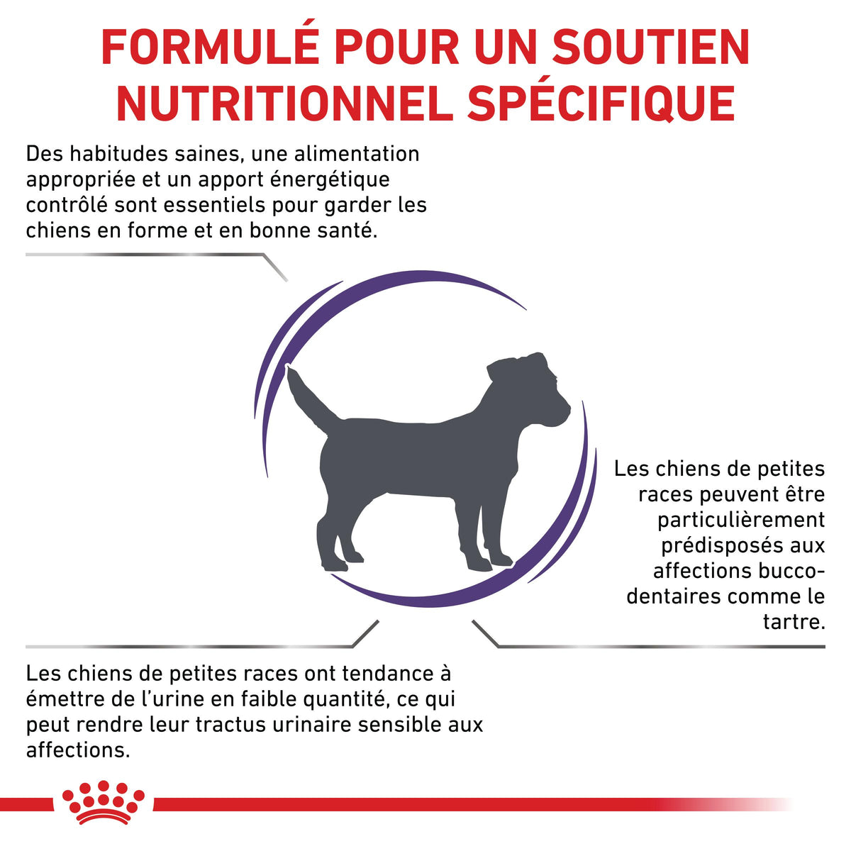 Royal Canin Vet Care Adult Small Dog - croquettes chien