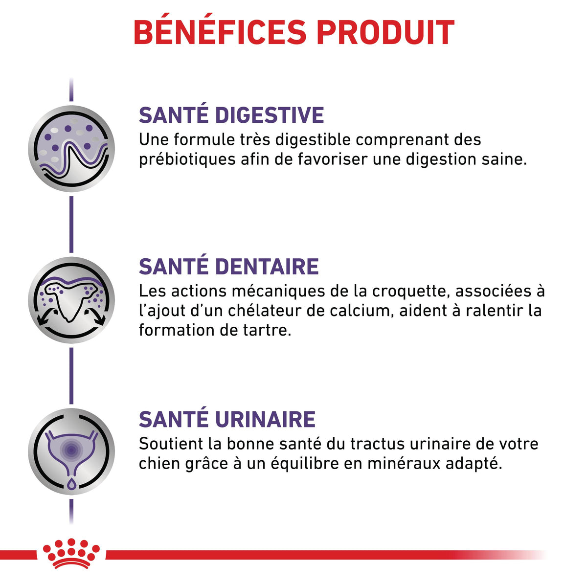 Royal Canin Vet Care Adult Small Dog - croquettes chien
