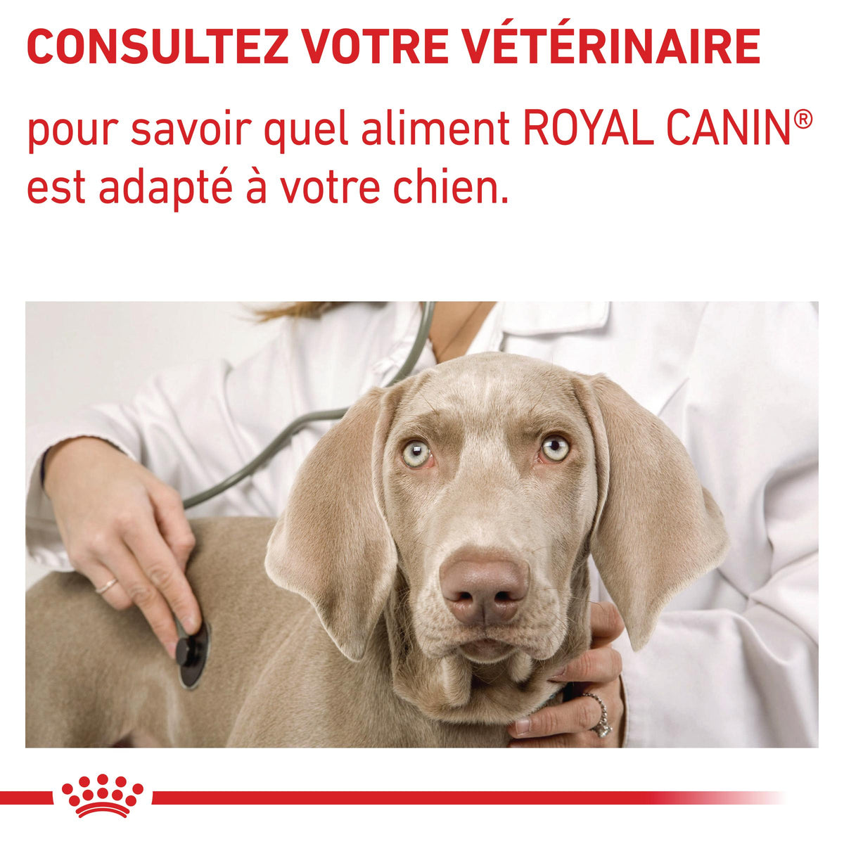 Royal Canin Vet Care Adult Small Dog - croquettes chien