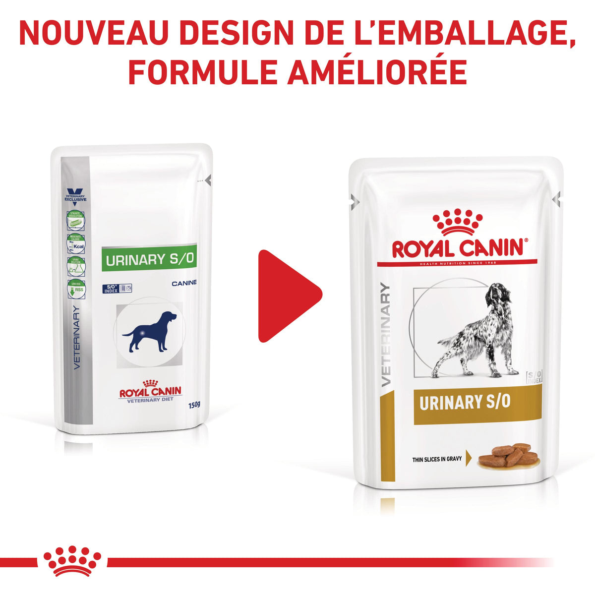 Royal Canin Veterinary Urinary S/O - aliment chien
