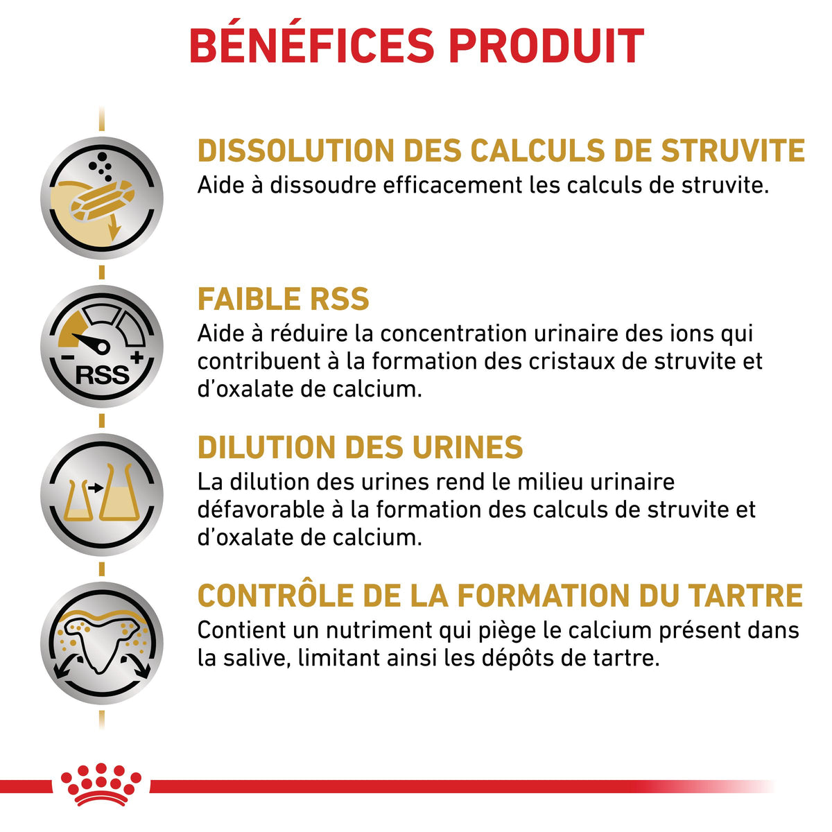 Royal Canin Veterinary Urinary S/O Small Dog - croquettes chien