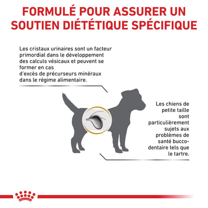 Royal Canin Veterinary Urinary S/O Small Dog - croquettes chien