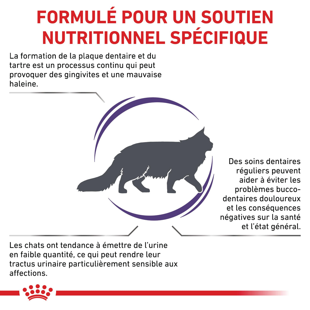 Royal Canin Veterinary Dental - croquettes chat