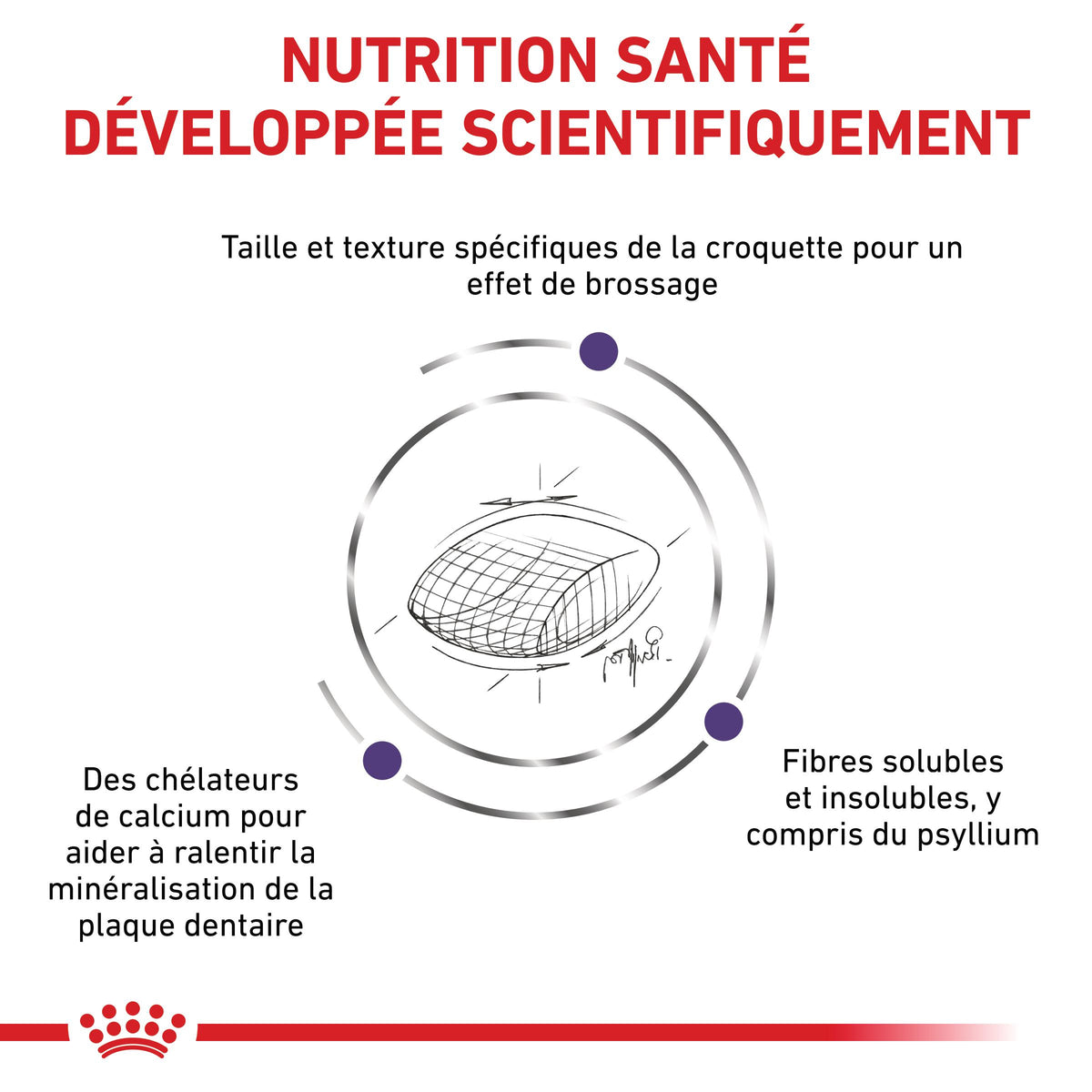 Royal Canin Veterinary Dental - croquettes chat