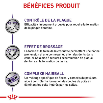 Royal Canin Veterinary Dental - croquettes chat