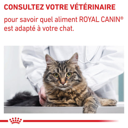 Royal Canin Veterinary Dental - croquettes chat