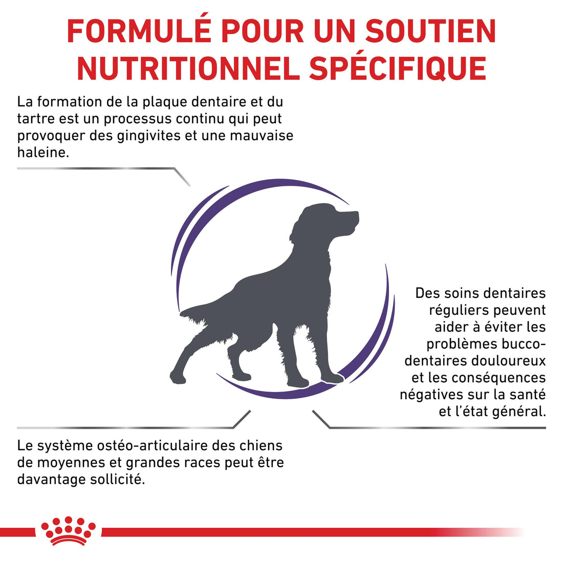 Royal Canin Veterinary Dental Medium &amp; Large Dogs - croquettes chien