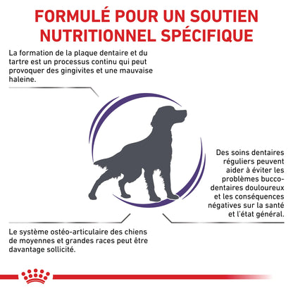 Royal Canin Veterinary Dental Medium &amp; Large Dogs - croquettes chien