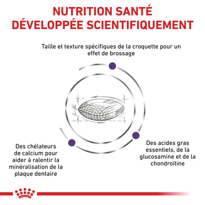 Royal Canin Veterinary Dental Medium &amp; Large Dogs - croquettes chien