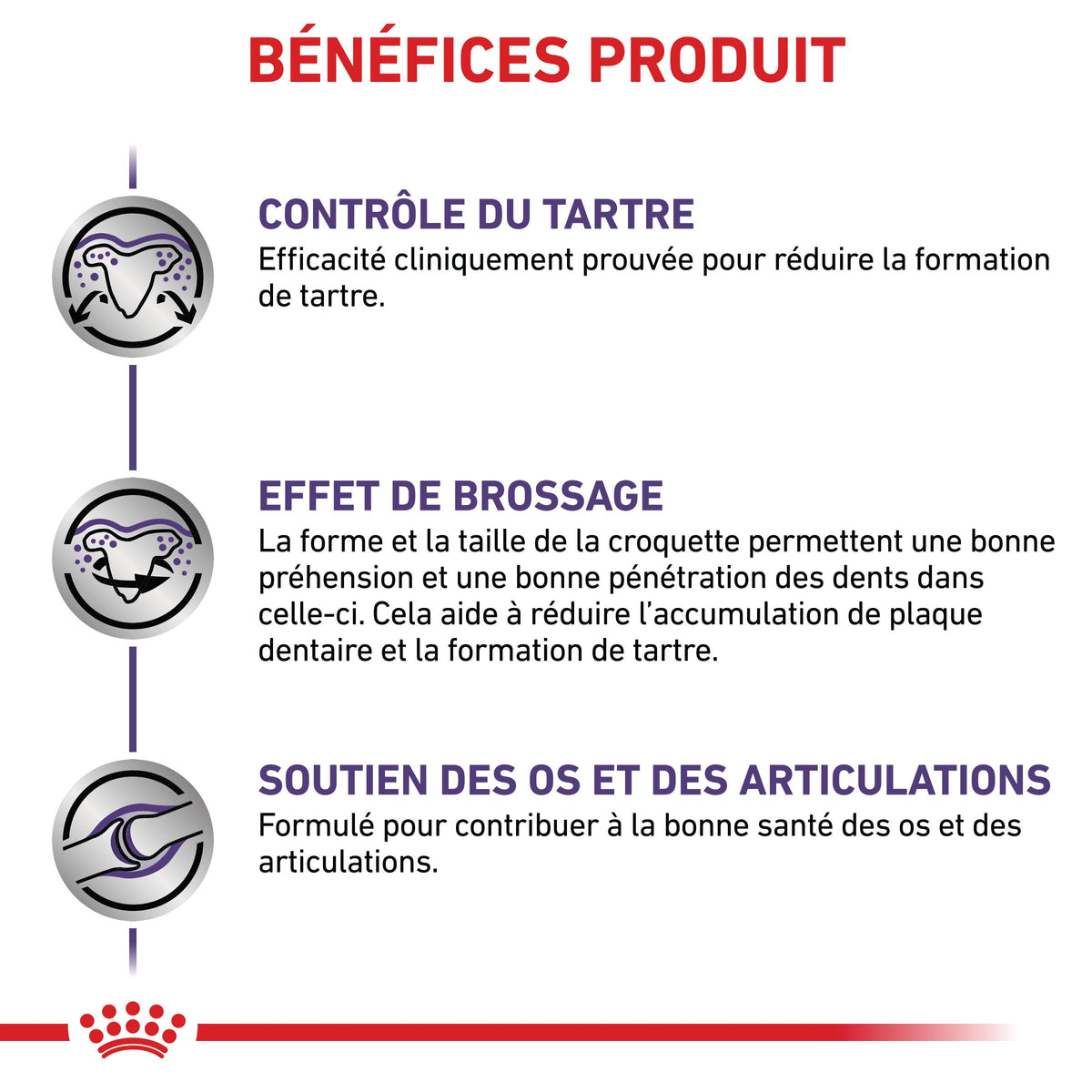 Royal Canin Veterinary Dental Medium &amp; Large Dogs - croquettes chien