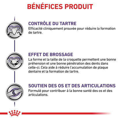 Royal Canin Veterinary Dental Medium &amp; Large Dogs - croquettes chien