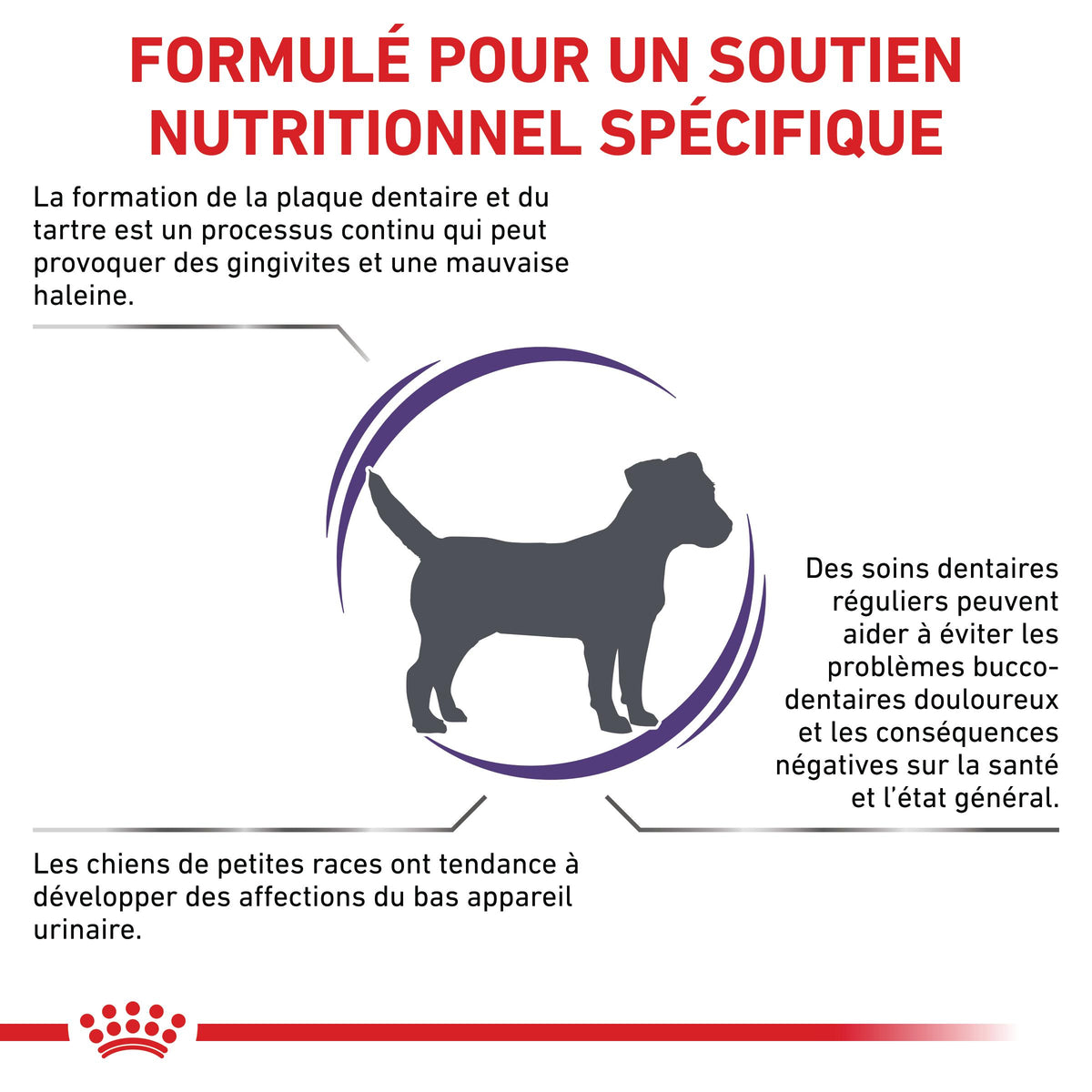 Royal Canin Veterinary Dental Small Dogs - croquettes chien