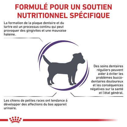 Royal Canin Veterinary Dental Small Dogs - croquettes chien