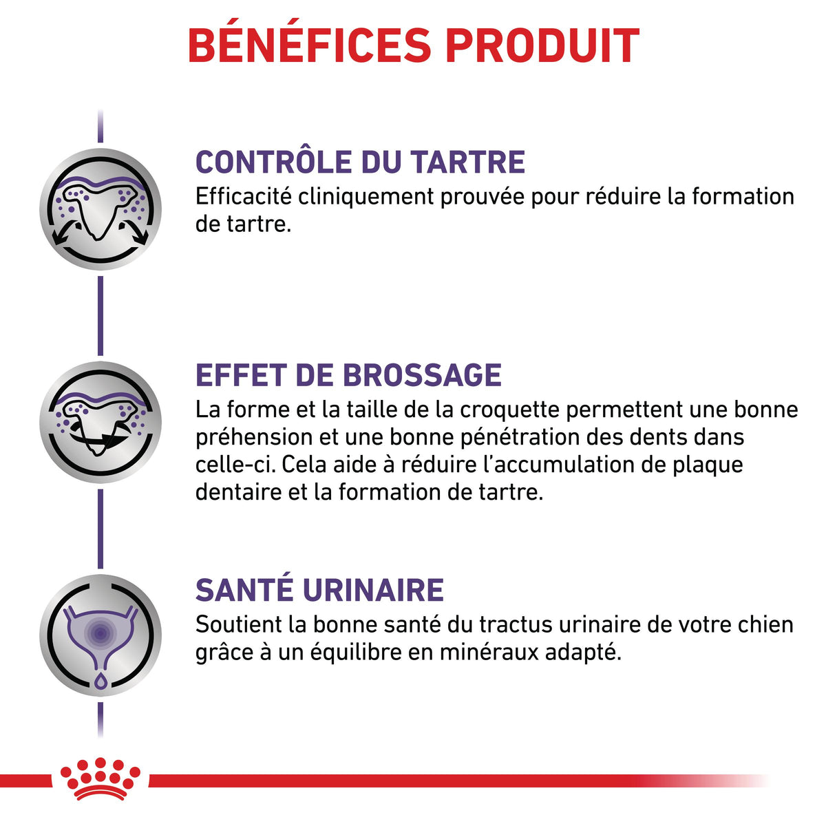 Royal Canin Veterinary Dental Small Dogs - croquettes chien