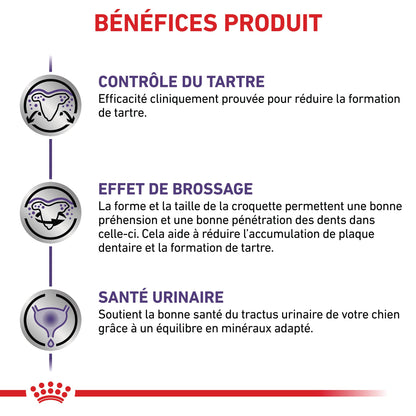 Royal Canin Veterinary Dental Small Dogs - croquettes chien