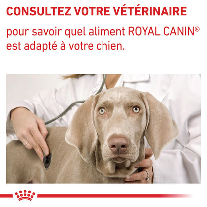 Royal Canin Veterinary Dental Small Dogs - croquettes chien