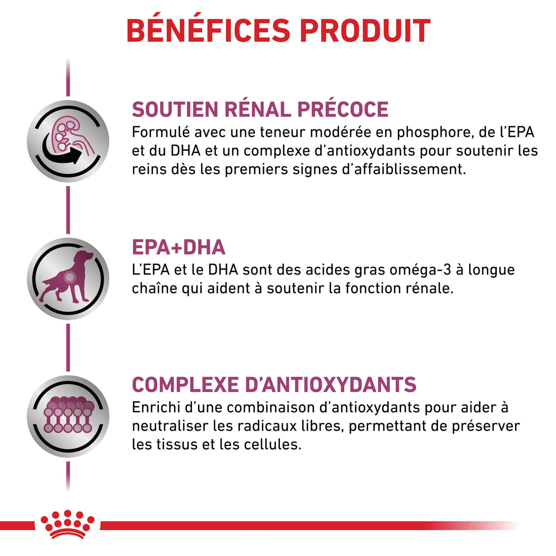 Royal Canin Early Renal - pâtée chien