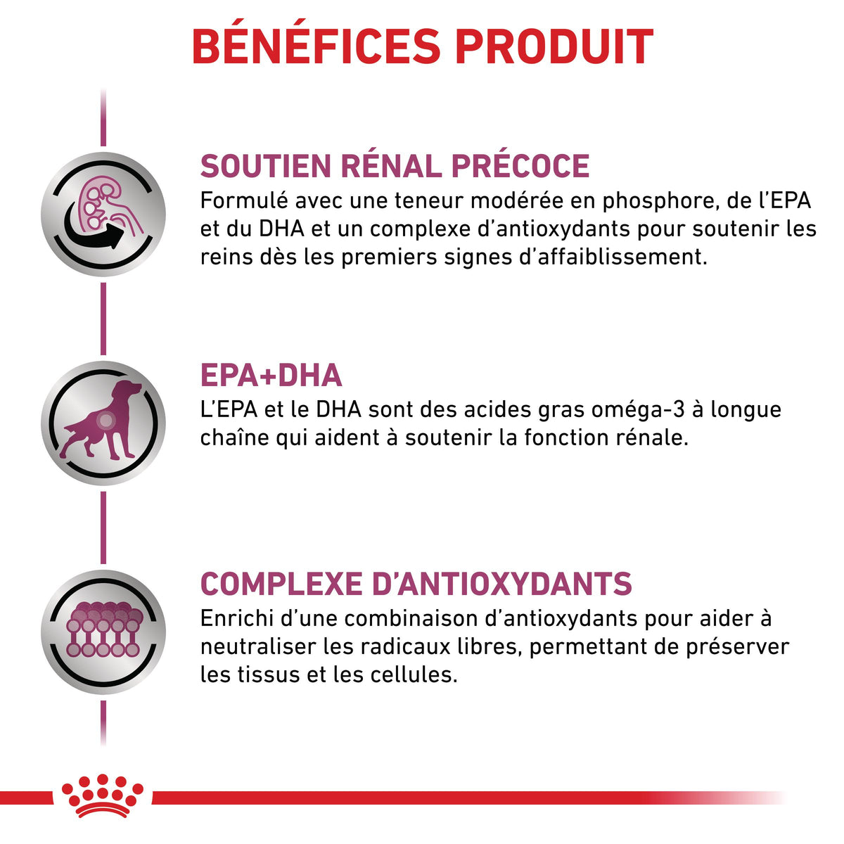 Royal Canin Early Renal - pâtée chien