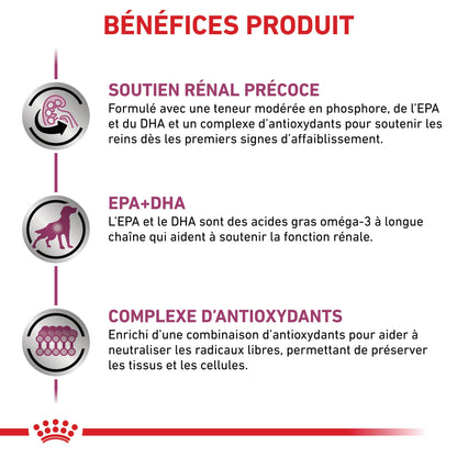Royal Canin Early Renal - pâtée chien