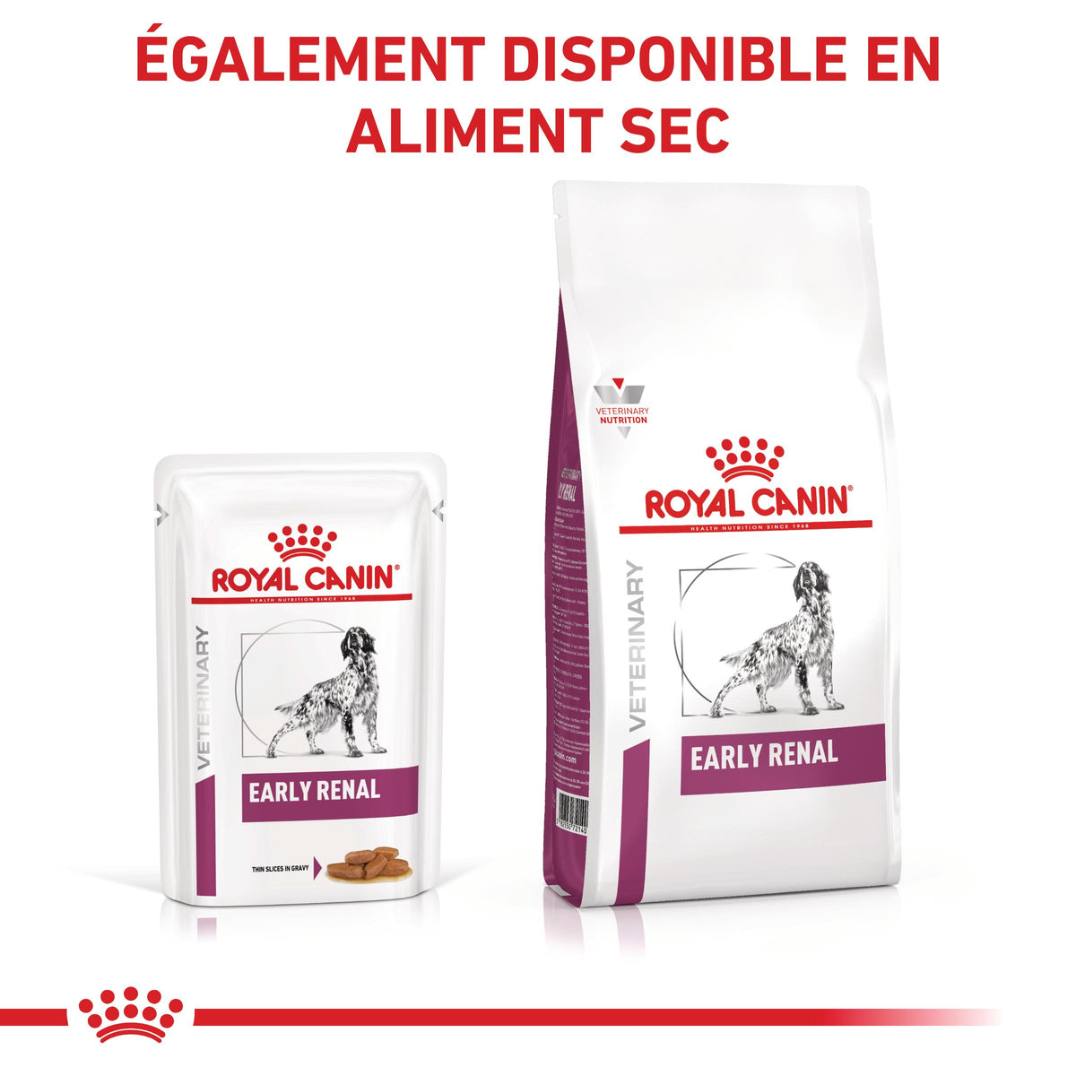 Royal Canin Early Renal - pâtée chien