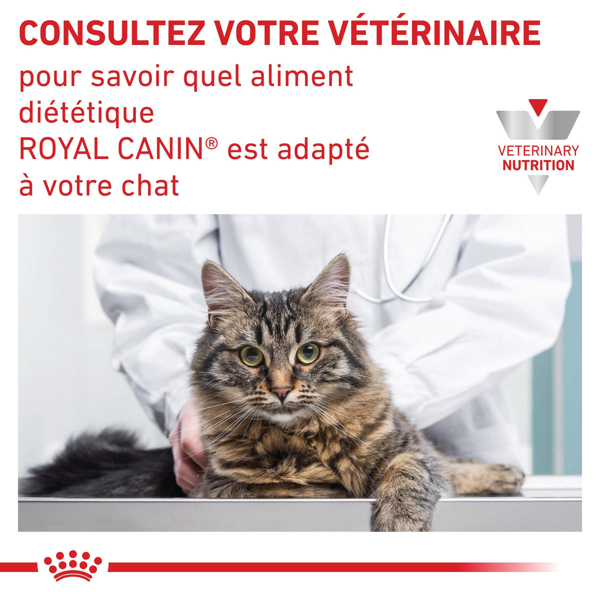 Royal Canin Veterinary Urinary S/O - aliment chat