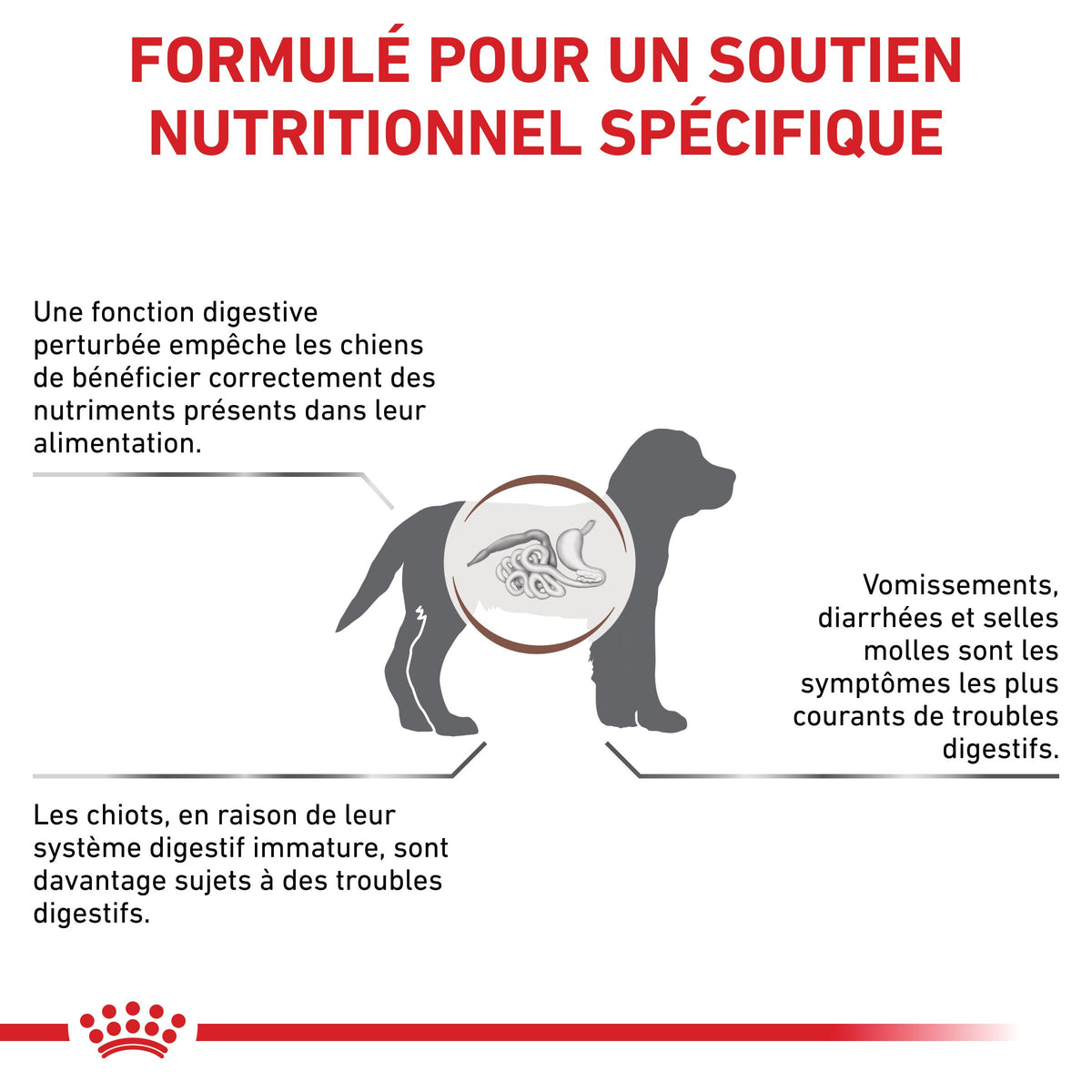 Royal Canin Veterinary Health Nutrition Puppy Gastrointestinal - croquettes chiot