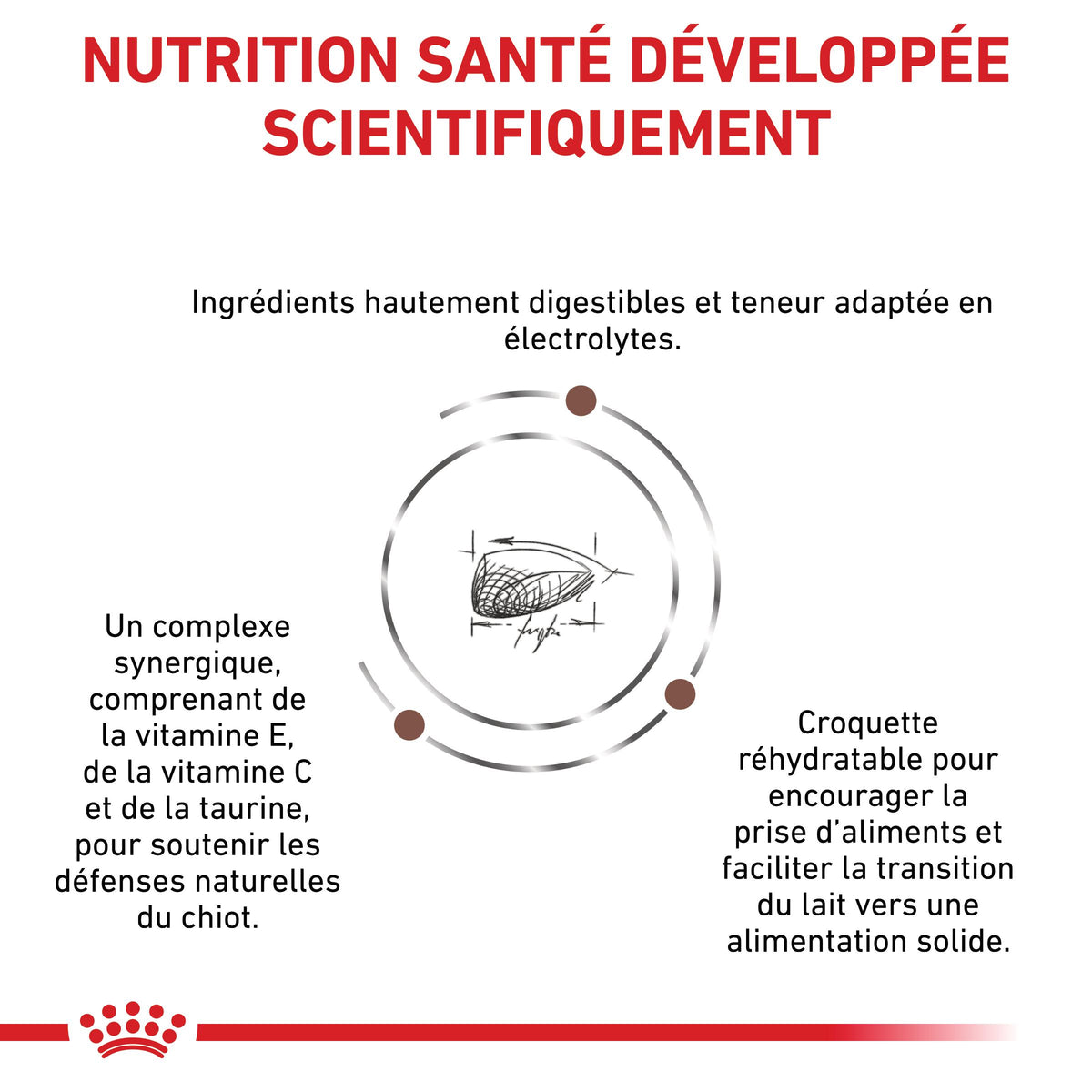 Royal Canin Veterinary Health Nutrition Puppy Gastrointestinal - croquettes chiot