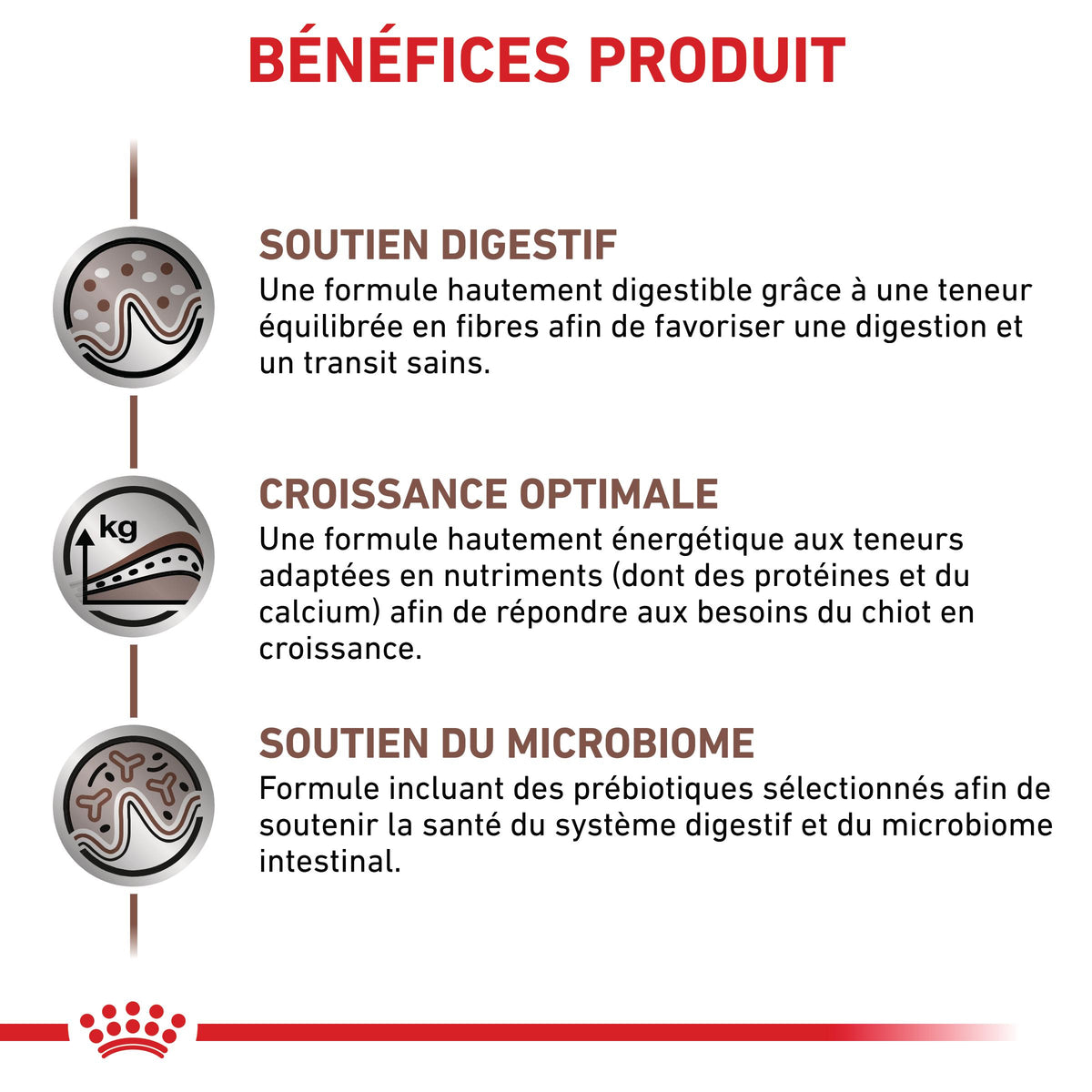 Royal Canin Veterinary Health Nutrition Puppy Gastrointestinal - croquettes chiot